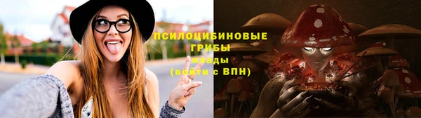 прущие грибы Алексеевка